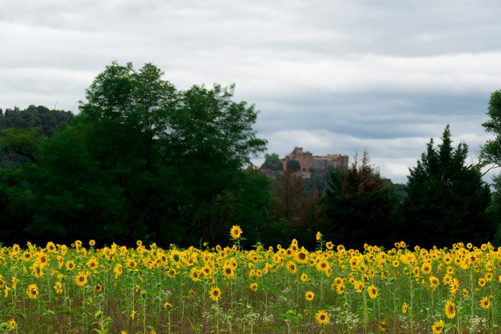 Domaine De Borie Chambres D'Hotes 布里特努 外观 照片