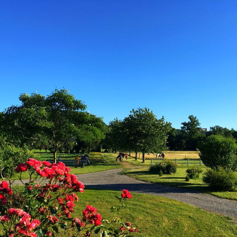 Domaine De Borie Chambres D'Hotes 布里特努 外观 照片