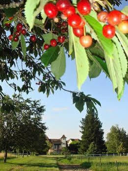 Domaine De Borie Chambres D'Hotes 布里特努 外观 照片